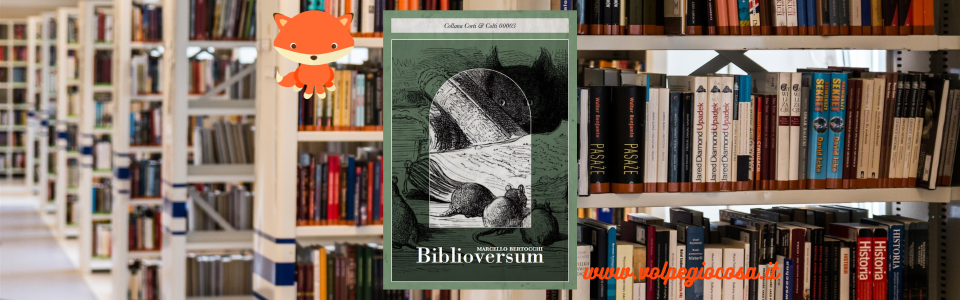 bilbioversum_banner